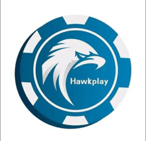 hawkplay review